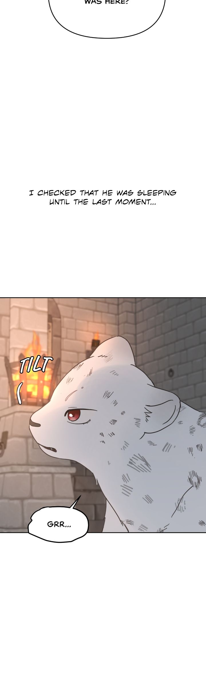 65764517 720 2400 80625